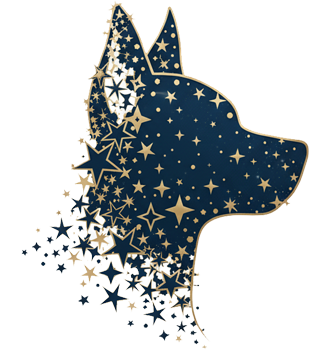 Kiscsillag Kutyakozmetika logó